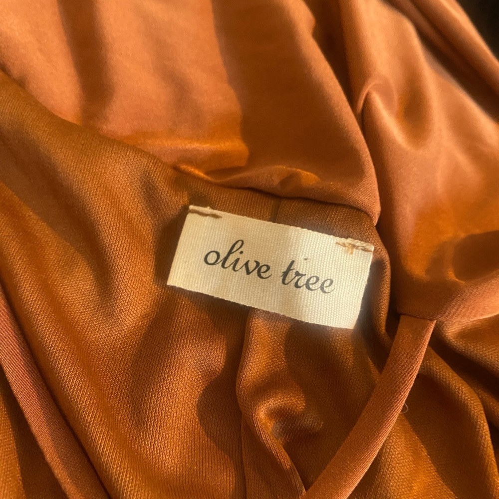 Olive Tree Burnt Orange Rust Mini Dress with Open Back - Picture 4 of 4